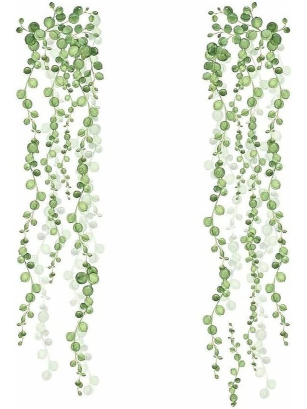 String of Pearls Succulent Vine Peel and Stick Wall Decals